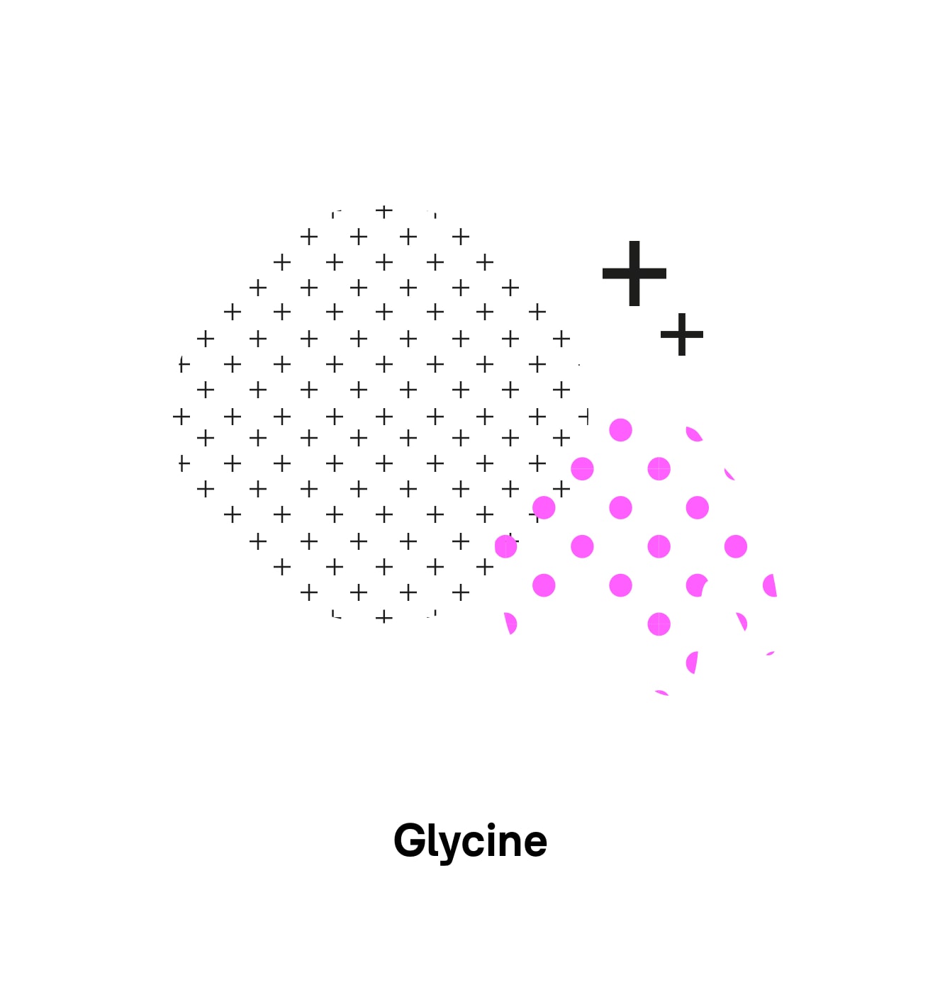 glycine